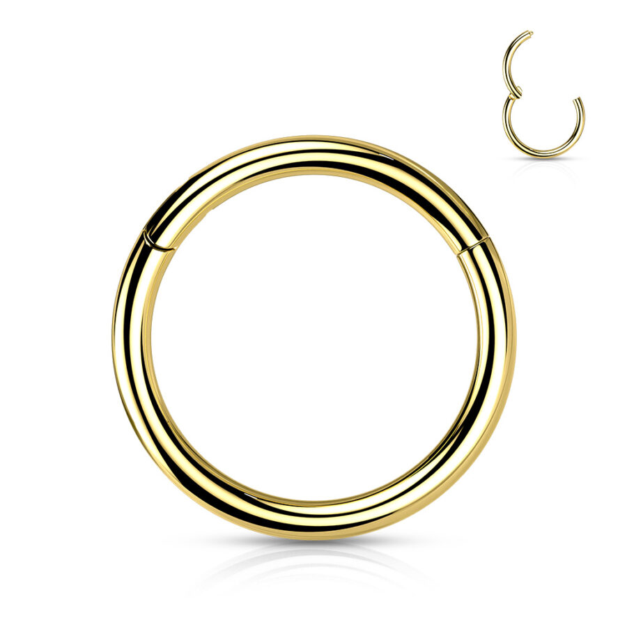 Implant Grade Titanium PVD Plated Hinged Segment Hoop Ring