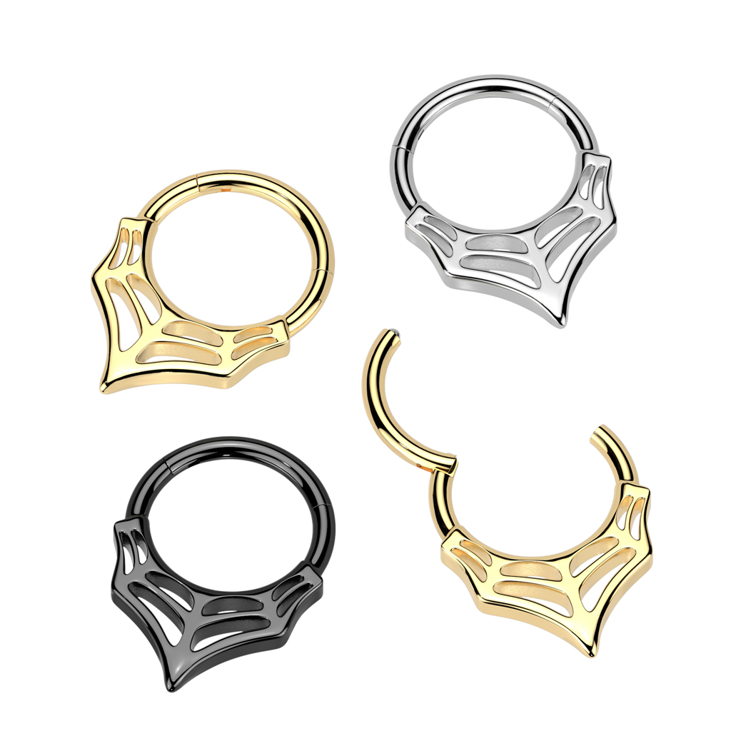 High Quality Precision All 316L Surgical Steel Web Hinged Segment Hoop Ring